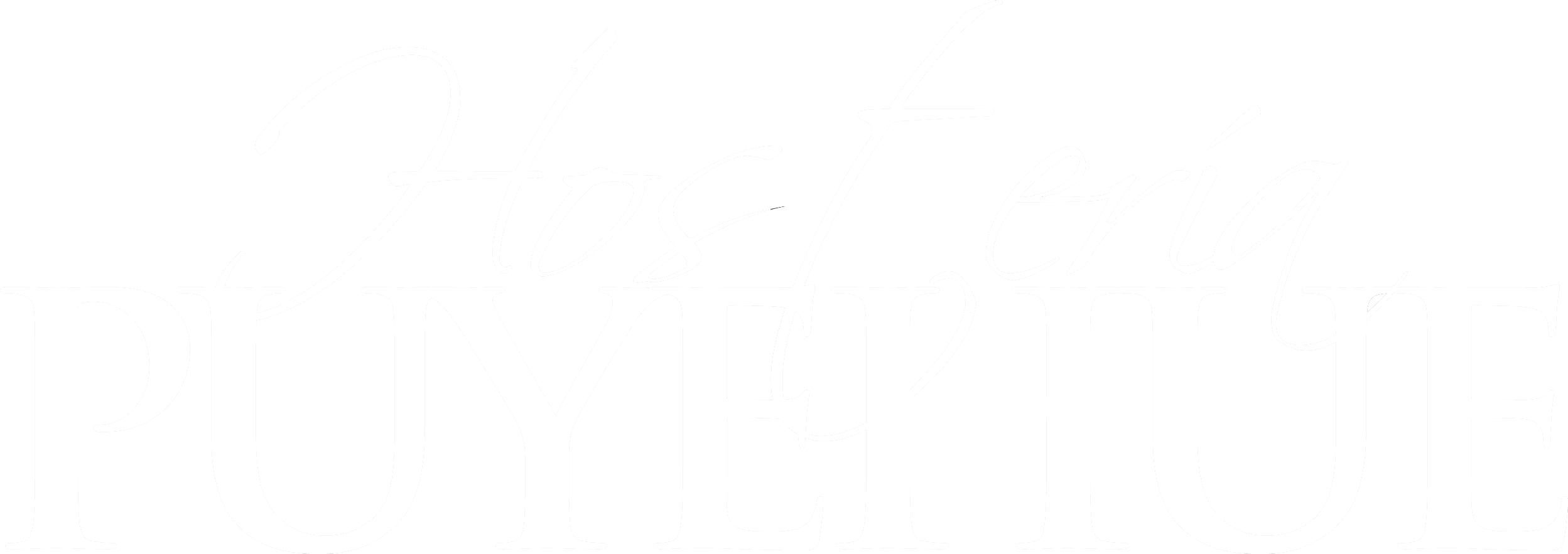 Logo Hostería Puyehue